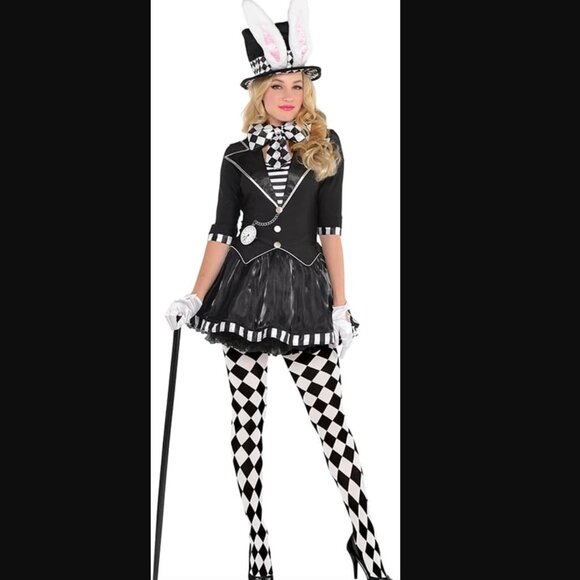 Dark Mad Hatter / March Hare Alice in Wonderland Whimsigoth Halloween Costume M - Picture 1 of 9
